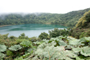 Volcano Poas